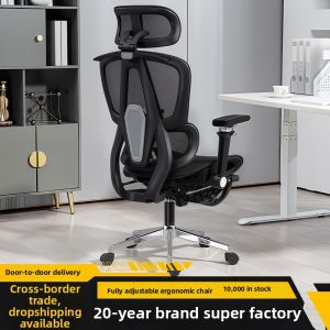 Ergonomic Multipurpose Chair