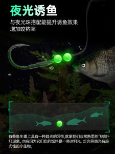 Đồ Câu Cá Ban Đêm Lấp Lánh Đồ Câu Cá Biển Lấp Lánh Đồ Câu Cá Dây Câu Cá Lấp Lánh Đồ Câu Cá Phụ Kiện Đồ Câu Cá