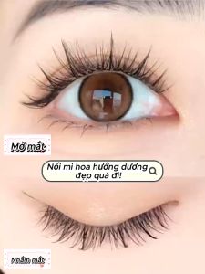 Mlen Diary Mi giả hoa hướng dương 9-12mm C cong Lông mi giả tự nhiên cho người mới bắt đầu