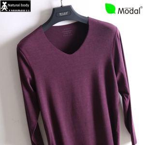 Natural Body Thermal Long Sleeve Business Casual Shirt for Men V-Neck Regular Fit Fashion City Style for Autumn