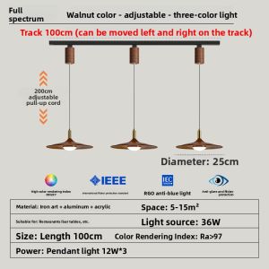 MR.LAMP | Antique Style Track Spot Light Adjustable