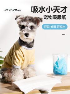 Thickened Absorbent Pet Urine Pad Disposable Waterproof Rabbit Dog Urine Cleaning Mat Cat Litter Pad Pet Care Supplies