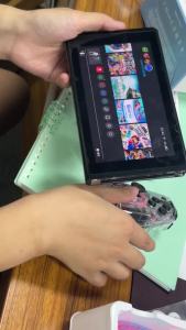 Bộ Điều Khiển Không Dây LinYuvo Dành Cho Nintendo Switch/OLED Với Nhiều Đèn Điều Khiển Chuyển Động Có Thể Lập Trình Rung Kép Turbo KS37B
