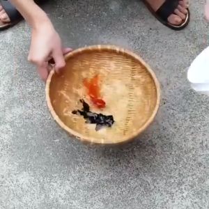 Lem Transparan Jaysuing Waterproof Premium Anti Bocor Rembes Krembes Air Penambal Perekat Atap Dak Rumah Genteng Keramik Dinding Tembok Lantai Toilet Kusen Plafon Jendela Retak