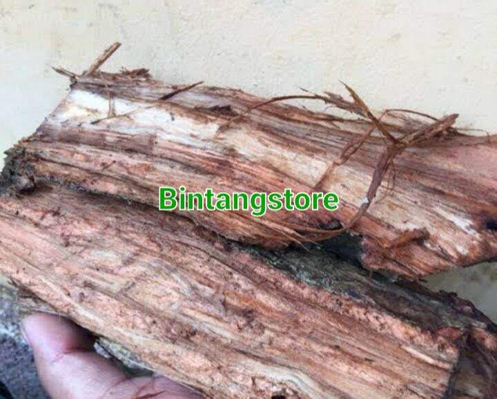 Jual Kulit Pohon Waru Kulit Pohon Baru Segar 500 Gram Lazada Indonesia