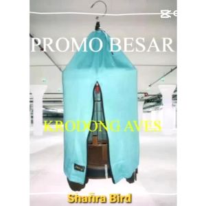 Terlaris Krodong Anis DM 38 & 40: Kualitas Tinggi & Desain Unik