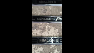 SEALION 6 2024 - 2026 OEM DOOR SIDE STEPSILL SCUFF PLATE STEEL TYPE