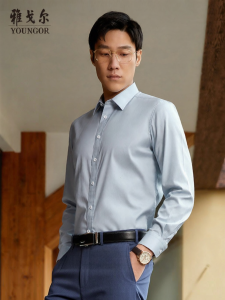 Youngor | No-Iron Mens Business Casual Oxford Long Sleeve Shirt