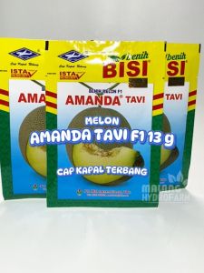 Benih Melon Hijau Amanda Tavi: Tips & Trik untuk Dataran Rendah
