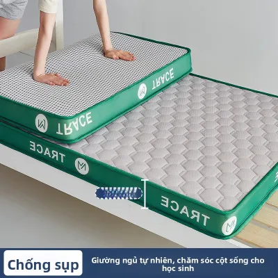 Meiji | Nệm Latex Đơn 90×190cm Cho Sinh Viên Ký Túc Xá Mềm Êm
