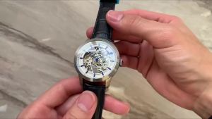 PAGANI DESIGN Business Man Watch Luxury Skeleton Hollow Leather Mens Wristwatch New Mechanical Male Clock Relogio Masculino