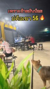 JUDEE MARK COFFEE จูดี้มาร์ก คอฟฟี่ กาแฟผู้ชาย ปลุกความเป็นชายในตัวคุณ อึด ทน Kaideeshop888 ของแท้100%