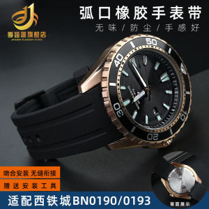 Mens Diving Rubber Strap Watch Band 22mm Medium Thickness Matte Finish Pin Buckle Clasp Suitable for Quartz And Mechanical Watches