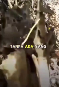 Cycloazinone granules herbicides removal of miscellaneous trees bamboo shrubsweeds  Tahan lama