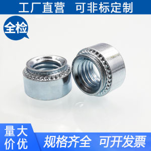 Galvanized Iron Press Stud Nuts S-1224/0420/0813/0518/0616/0524/0428-0/1/2/3 Strong Carbon Steel Rivet Nuts from Shenzhen China