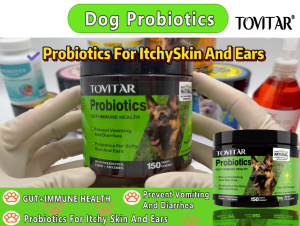 Tovitar® Dog Probiotics Chews | Digestive Support | Gut Health Supplement | Soft Chew Treat for Puppies & Adult Dogs
