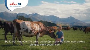 Sữa tươi nguyên kem Full Cream Anchor - Hộp 1L