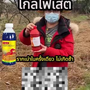 ใช้1ครั้ง10ปีไม่มีวัชพืช ยาฆ่าหญ้า 1คืนกำจัดวัชพืช ทำให้รากเน่าและรากตาย ถั่วลิสงน้ำ ฮิวมูลัส หญ้าเอ็นวัว มุง ฯลฯ ยาฆ่าหญ้าในนา ใช้เพียงเล็กน้อย ไดัผล 500% ยาฆ่าหญ้าในนาข้าว ยาฆ่าต้นไม้ใหญ ยาฆ่ากอไผ่