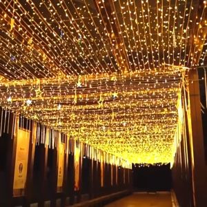 ไฟกระพริบ LED 9 เมตร 100 ดวง มอก ไฟปีใหม่ สีกระพริบ สีทรง 8 จังหวะ ไฟแต่งห้อง ไฟนิ่ง ปรับได้ 8 ชุด