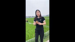 [RẺ VÔ ĐỐI] Quạt đeo hông quạt treo eo để bàn cao cấp quạt tích điện quạt điều hòa di động kiểm sạc dự phòng quạt đeo thắt lưng đeo cổ cầm tay có đèn pin chiếu sáng dây đeo tiện lợi