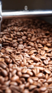 Kopi Robusta Aceh Gayo biji bubuk origin roast Semekar Coffee grade 1
