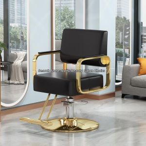 DANBIYIN | Stainless Steel Rotatable Hydraulic Elevating Barber Chair