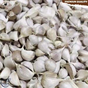 Bawang Putih Kating Segar Bersih Potekan Sudah Dibersihkan 100 gram Garlic Fresh Cutting