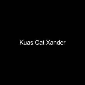 KENMASTER KUAS CAT GAGANG PLASTIK XANDER 1198