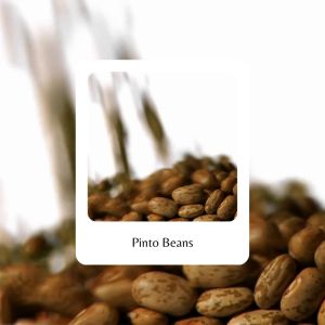 Dried Pinto Beans (wholesale pack)