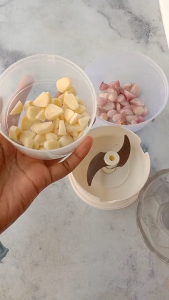 Blender Tangan Mini Speedy Chopper Tarik