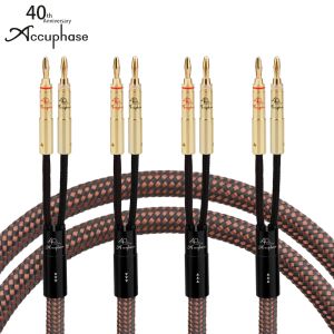 Accuphase 40th HIFI Speaker Cable 6N OCC Copper Audiophile Speaker Cable Gold Plated Banana Plug for Amplifier DVD CD