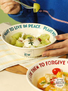 High-Aesthetic Ceramic Noodle Bowls Stand-Out Design for Women Simple Style Cartoon Animation Patterns round Shape Dishware