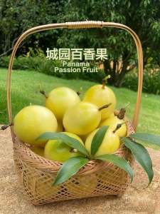 Buy 5kg@RM93 or RM18.60/kg 5kg(75pcs) Panama Rose Golden Passion Fruit 100% Sweet Buah Markisa Emas Panama Rose- Promotion package