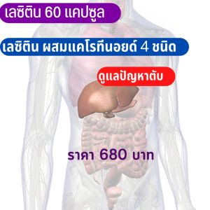 ส่งฟรี เลซิติน กิฟฟารีน Lecithin Giffarine ผสมแคโรทีนอยด์ และ วิตามินอี ดูแลตับ ไขมันพอกตับ ไขมัน ความดัน เบาหวาน 60 แคปซูล