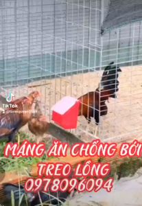 5 Máng Ăn Cho Gà Đá Máng Ăn Cho Gà Chọi Máng Ăn Cho Bồ Câu Máng Ăn Cho Vẹt Máng Ăn Cho Chhim