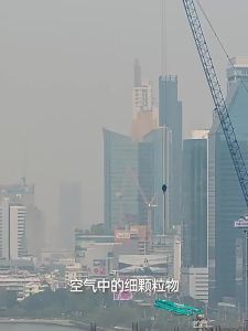 TAODUN | Dust Industrial Dust Protection KN95 Mask