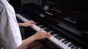 Donner DDP - 100 Digital Piano 88 Key Home - Black