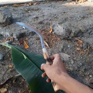 Arit Sabit Bahan Baja Per ASLI Ukuran Kecil Untuk Seset Daun Pisang