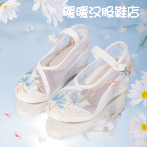 New Style Comfortable Breathable Embroidered Hanfu Shoes Womens National Style Soft Bottom Mesh Shoes Traditional Chinese Fairy Cloth Shoes