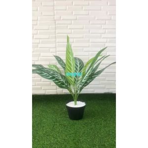 Pohon Artificial Daun Aglonema Hijau Strip X12 Semilatex Pot Dasar Hitam Dekorasi Rumah Aesthetic