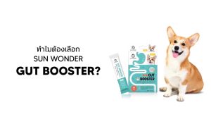 Gut Booster ผงอาหารโปรไบโอติก สูตรสำหรับหมา 1ซอง ทานง่าย แบบโรยอาหาร ปรับสมดุลลำไส้ แก้ ท้องเสีย ถ่ายเหลว ถ่ายเหม็น ท้องอืด