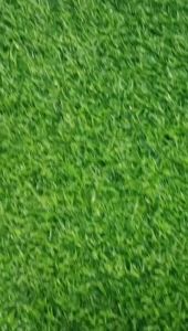 Thảm Cỏ Nhân Tạo lót sàn sân vườn cao 15cm combo rộng 2mx dài 4m 45m5m55m6m65m7m thảm cỏ nhựa trải vỉa hè dán tường