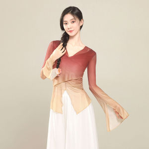 Elegant Gradual Color Gradient Elastic Dance Costume Womens Classical Dance Gown Drifting Stage Performance National Dance Practice Suit