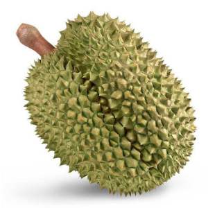 ทุเรียน ทุเรียนหมอนทอง เนื้อแน่น หวาน หอม อร่อย จัดส่งทั้งลูก
