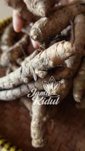 Temu Giring Segar Organik dari Gunung Kidul