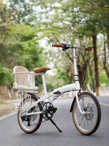 Child Carrying Foldable Bicycle 20 inch