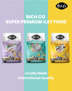 Rich. Co Rich Choice Kitten Quail & Chicken with Vegetables Weight Up Formula (Cat Food) 1KG [REPACK]