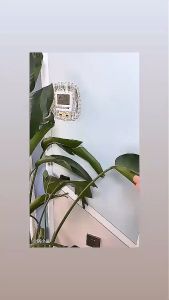 Dụng Cụ Treo Cây Dù Dán Tường Tiện Lợi