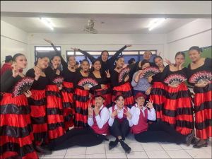 Womens Spanish Bull Dance Skirt Belly Dance Skirt Big Swing Flamenco Costume