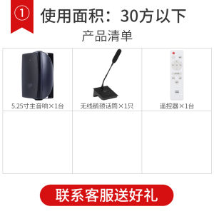 Listening Language Meeting Room Sound System Set Classroom Speech Room Training Room Wall Mounted Speaker Dual Speaker AV Connection